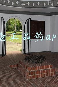 查正品的app