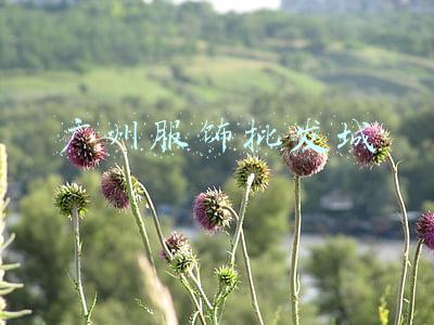 广州服饰批发城