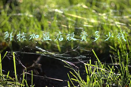 鲜榨果汁十大加盟店排行榜-有哪些比较好的鲜榨果汁品牌加盟？