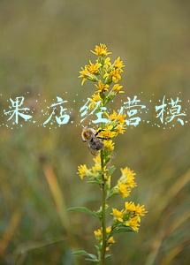 水果店经营模式