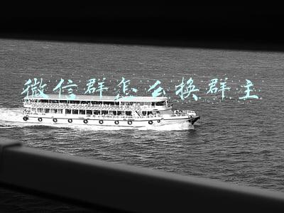 微信群怎么换群主