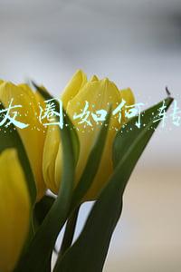 朋友圈如何转发
