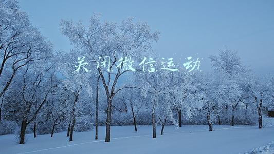 关闭微信运动