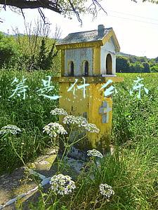 众筹是什么东西