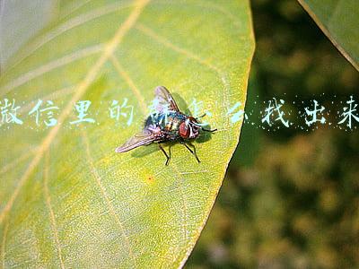 微信里的群怎么找出来
