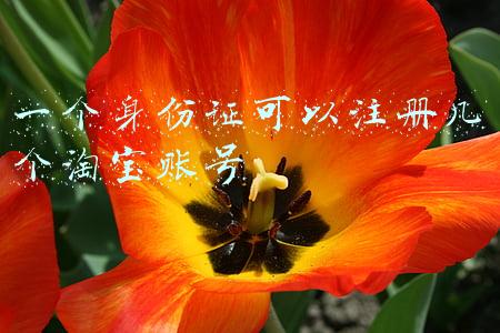 一个身份证可以注册几个淘宝账号