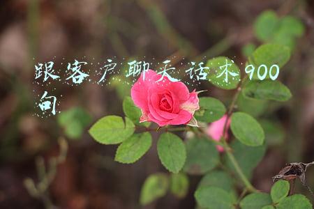 跟客户聊天话术900句