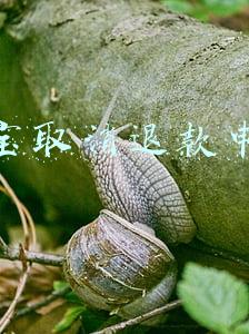 淘宝取消退款申请