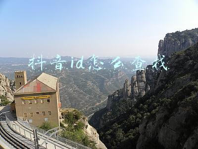 抖音id怎么查找是抖音号吗(5个科普的抖音账号)