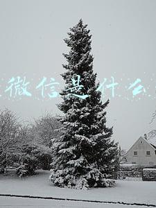 关闭微信是什么意思