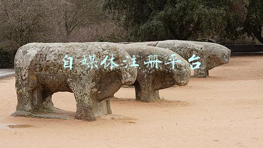 西瓜视频自媒体注册平台(初学自媒体之注册今日头条（一）)