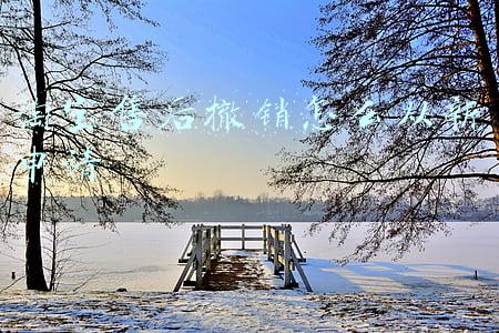 淘宝售后撤销怎么从新申请
