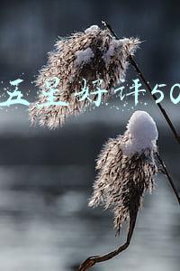 外卖五星好评50字评语