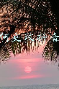 如何更改抖音号