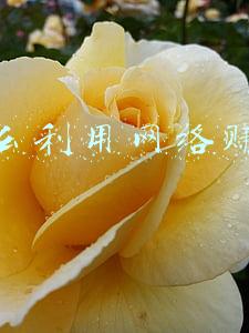 怎么利用网络赚钱加筘Q裙~388~150专业(无本金、无囤货、无风险就能赚钱？——揭秘“无货源开店”骗局)