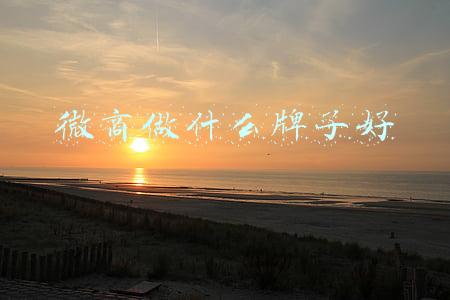 微商做什么牌子好