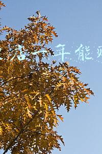 麻辣烫店一年能赚多少钱知乎，开麻辣烫店一年最多能挣多少钱。