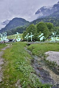 加盟店什么最火