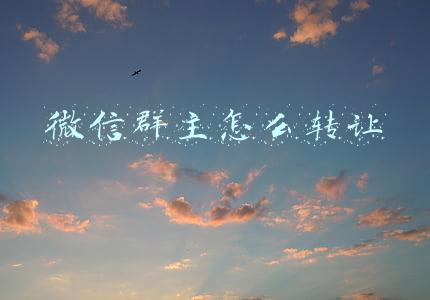 微信群主怎么转让