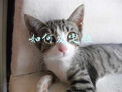 如何发定位