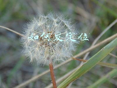 如何发定位