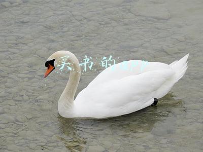 买书的app