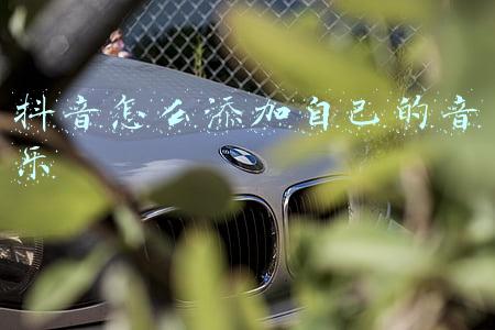 抖音怎么添加自己的音乐