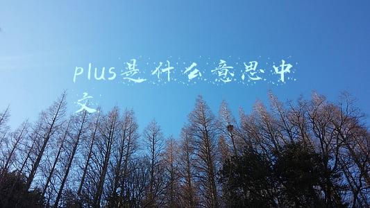 plus是什么意思中文