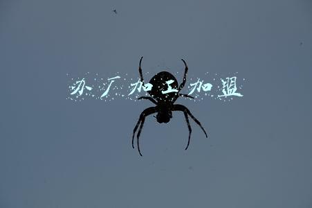 办厂加工加盟
