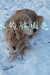 71厘米的腰围是多少尺