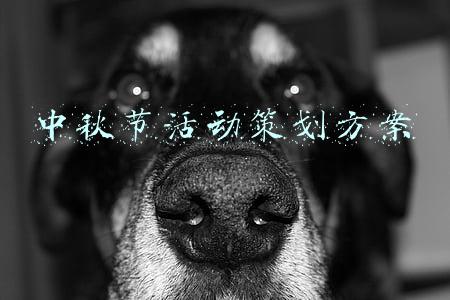 酒店中秋节活动策划方案(赏秋主题酒店渐火 中秋节你会在酒店度过吗？)