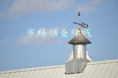 市场调查赚钱网(在线兼职-国外调查问卷(天莫分享))
