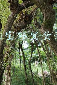 淘宝外贸货源