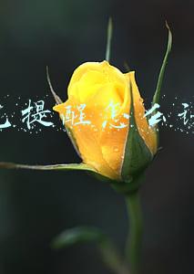 红包提醒怎么设置华为(弹出“天降红包”！华为EMUI红包助手支持微信、QQ群红包提醒)
