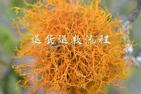 退货退款流程