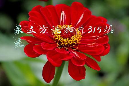 泉立方洗衣片315爆光 泉立方洗衣片315爆光