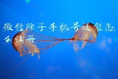 微信除了手机号还能怎么注册