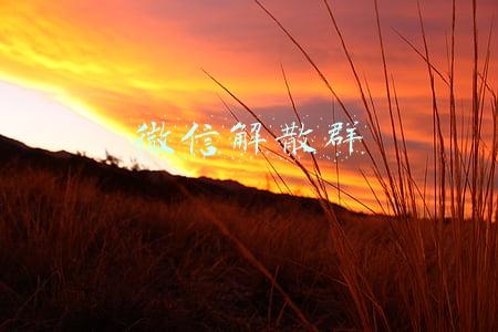 微信解散群聊后,在别人那里怎样显示(微信群解散了有提示吗？看完就了解了)