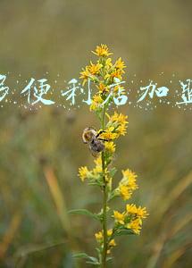 喜士多便利店加盟电话，喜士多便利店加盟费用多少钱
