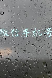 微信手机号