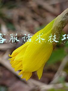 客服话术技巧