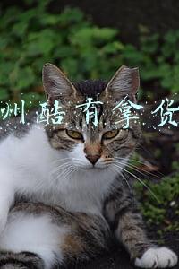 广州酷有拿货网靠谱吗(赚不赚钱都要收藏的三十六个货源网站 利润很可怕)