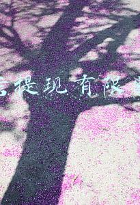 微信提现有限额吗