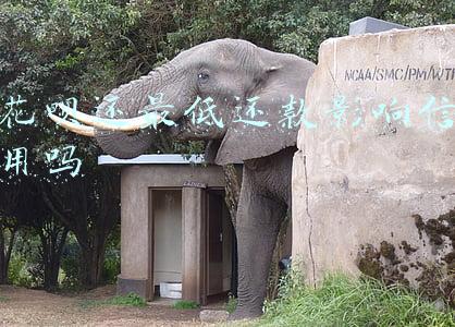 花呗还最低还款影响信用吗