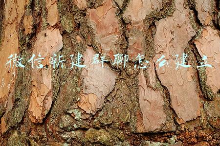 微信怎么新建一个群聊(社群营销：建立微信群，长时间经营，精细化管理)