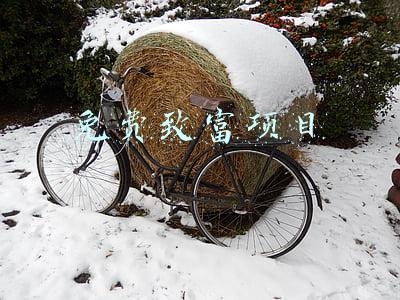 免费致富项目