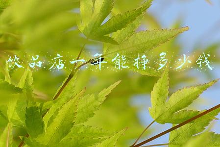 奶茶的成本是多少？利润有多大？：饮品店利润