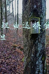 7天无理由退换货运费谁承担
