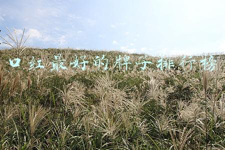 口红大品牌排行榜第一名(2020年度国际十大口红品牌排行榜，快来看看你有几支)