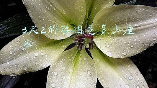 3尺2的腰围是多少厘米
